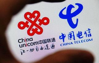 石家庄联通最新爆料