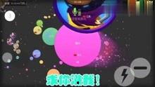 扒奇爆料球球视频大全,球球视频大全背后的精彩瞬间 第2张 扒奇爆料球球视频大全,球球视频大全背后的精彩瞬间 第2张