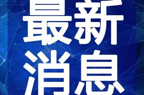 过年网友爆料视频大全最新,网友爆料视频大全，精彩瞬间尽收眼底
