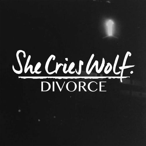 divorce在线观看,情感纠葛与家庭裂变的真实写照 第3张 divorce在线观看,情感纠葛与家庭裂变的真实写照 第3张
