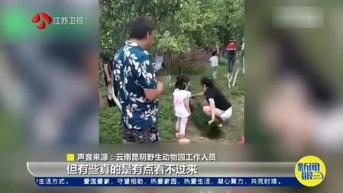 毛人龙被爆料视频大全集,揭秘事件背后真相