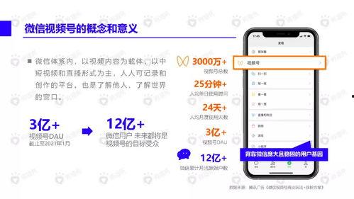 爆料小关老师视频下载,独家爆料带你一探究竟