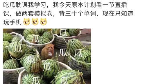 最新吃瓜免费网站大全,2023年度最新免费吃瓜网站大全盘点  第2张